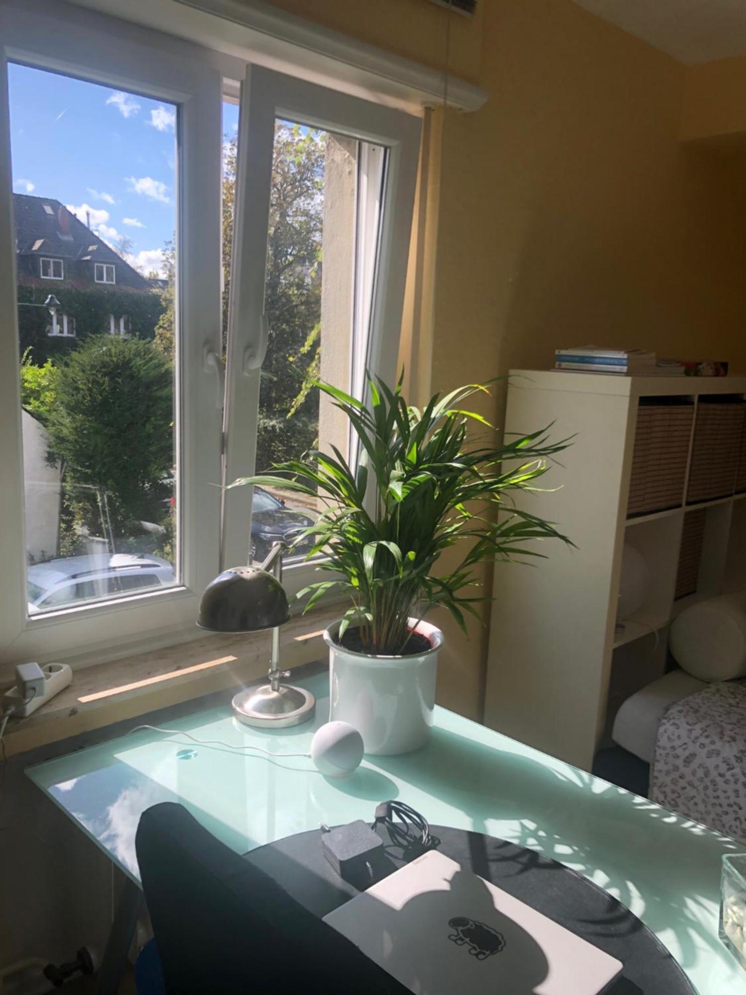 Glueck In Benrath Apartment Dusseldorf Exterior photo